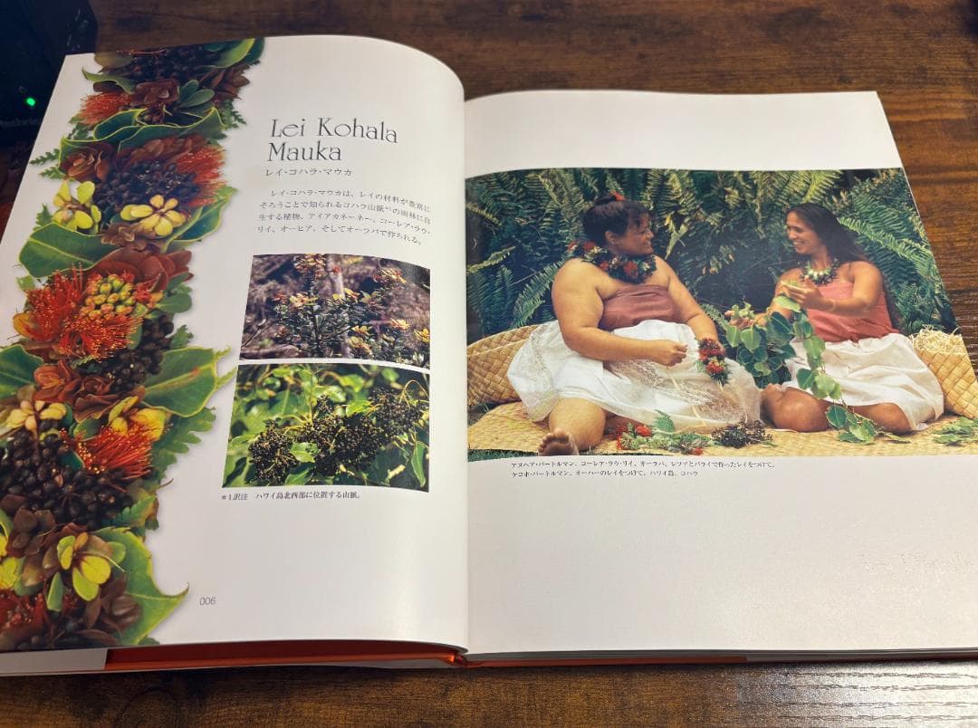 【絶版美品】愛しのレイ～Na Lei Makamae ナー・レイ・マカマエ～