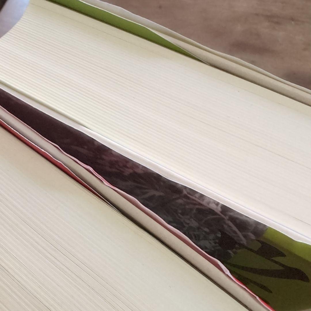 ヴェトナム : 壮大な悲劇1945-1975. 上下セット