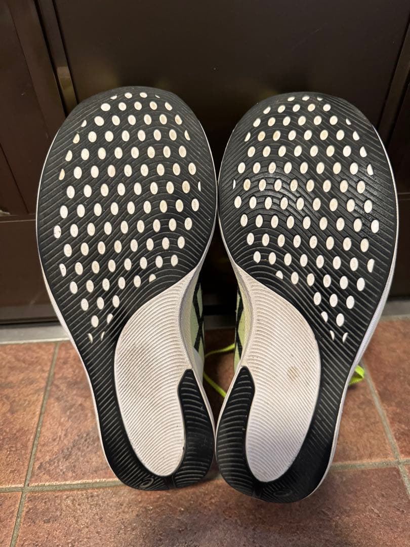 アシックス ASICS S4+ YOGIRI 29.0cm