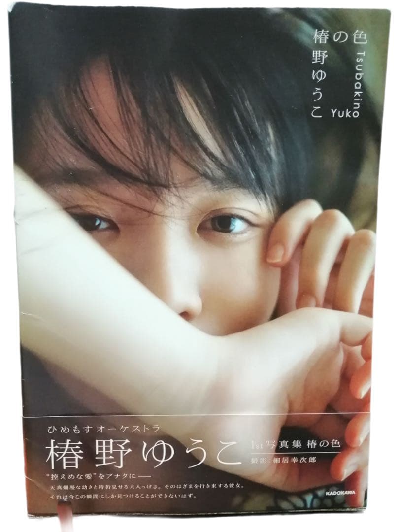 椿野ゆうこ 1st写真集 椿の色 - メルカリ
