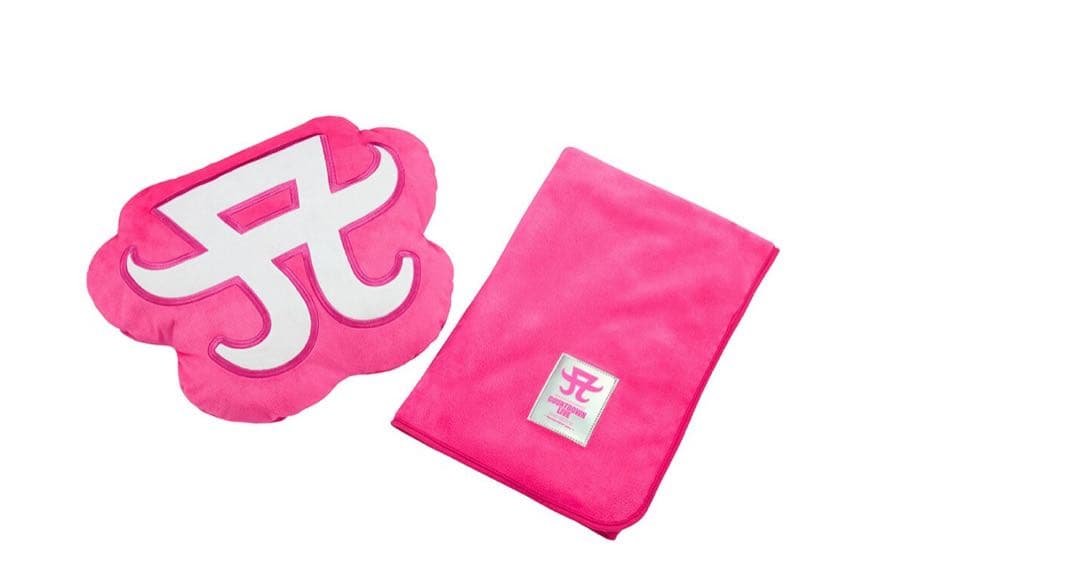 激レア】浜崎あゆみ クッション in ブランケット