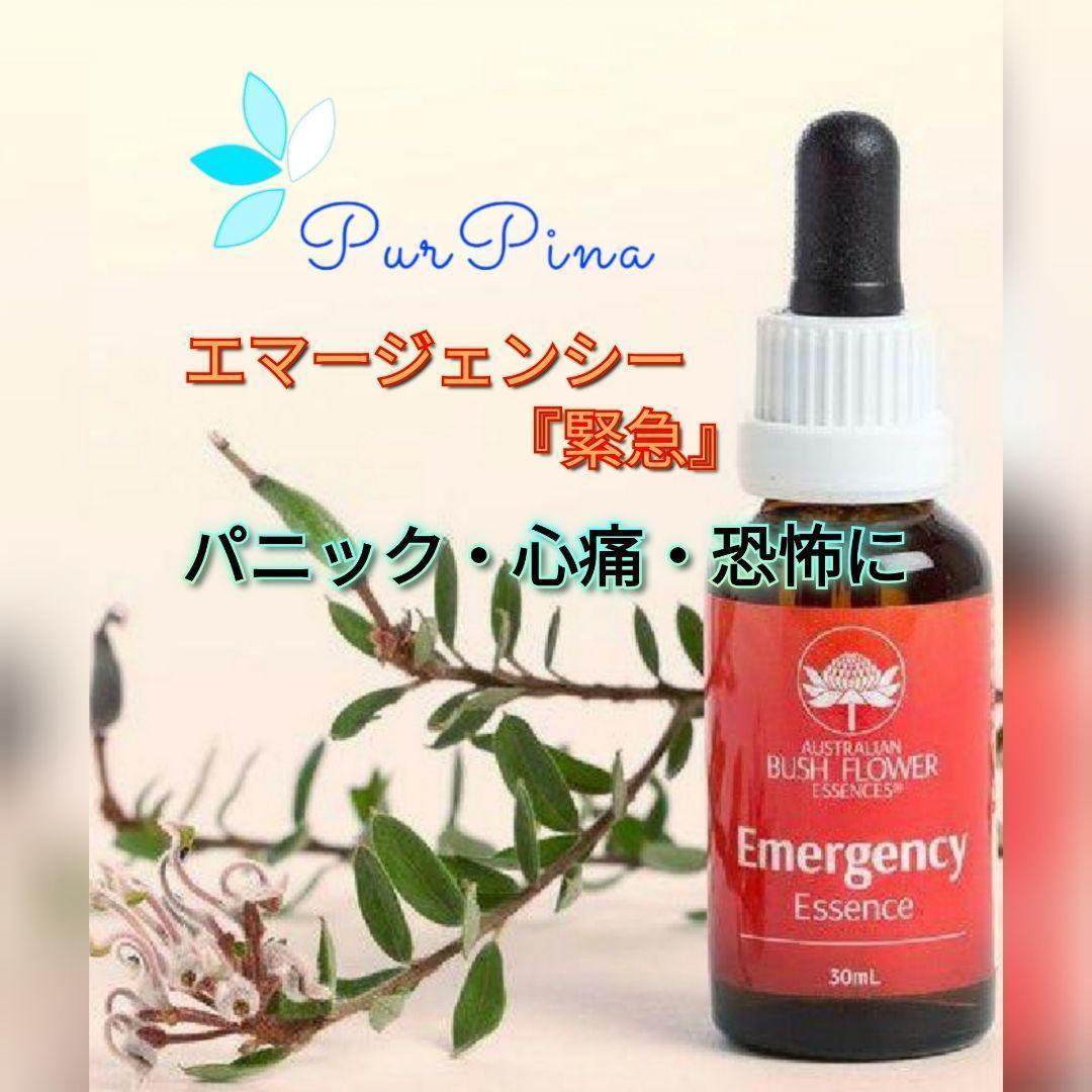 【専用】リカバリー（回復）《DTWフラワーエッセンス》フォーミュラ　他