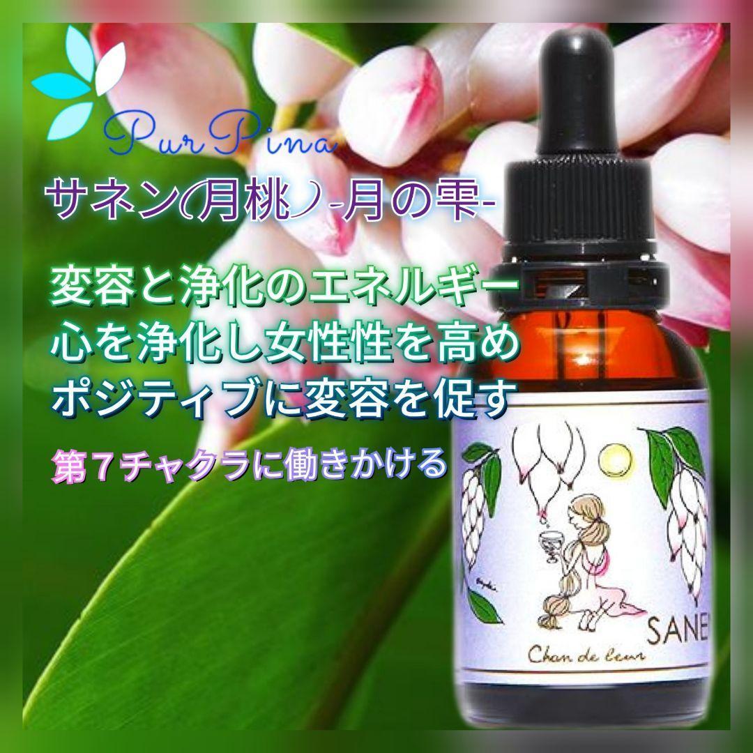 【専用】リカバリー（回復）《DTWフラワーエッセンス》フォーミュラ　他