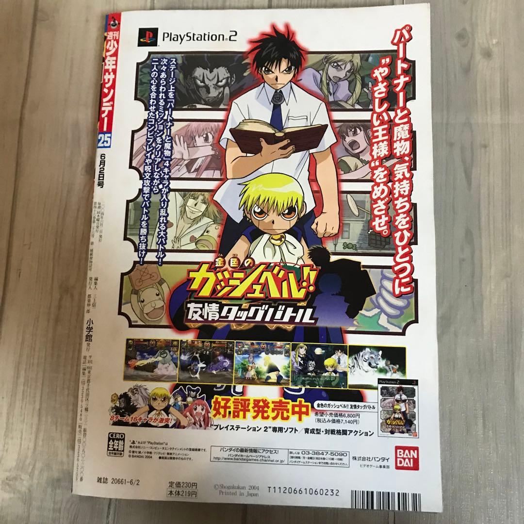 週刊少年サンデーNo.25 石原さとみ アイドルグラビア 2004年 小学館