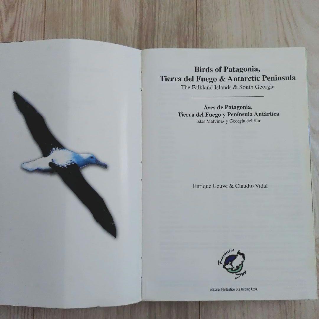 パタゴニア ティエラ・デル・フエゴ 南極半島の鳥 鳥類の写真ガイド
