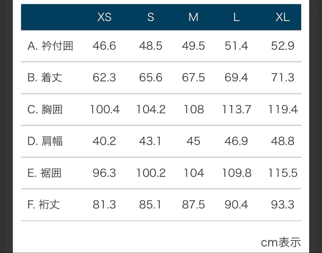 mont-bell プラズマ1000 M シルバー 白 ダウンジャケット 新