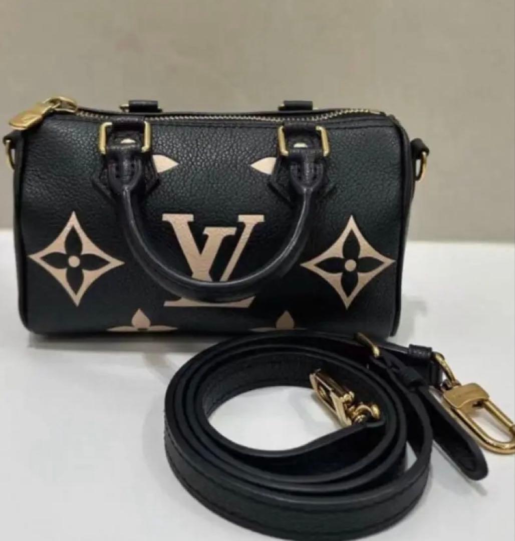 LOUIS VUITTONショルダーバックノベルティ Louis Vuitton X The DARJEELING LIMITED Damier Ebene Nil MM 1816033