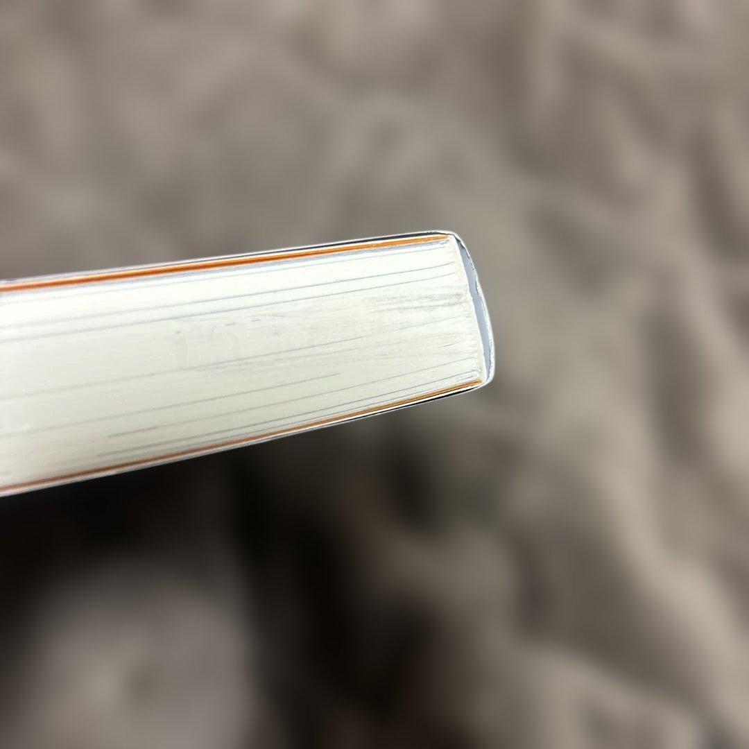 信じていた仲間達にダンジョン奥地で殺され 全巻 1-13巻 小説 全初版 希少