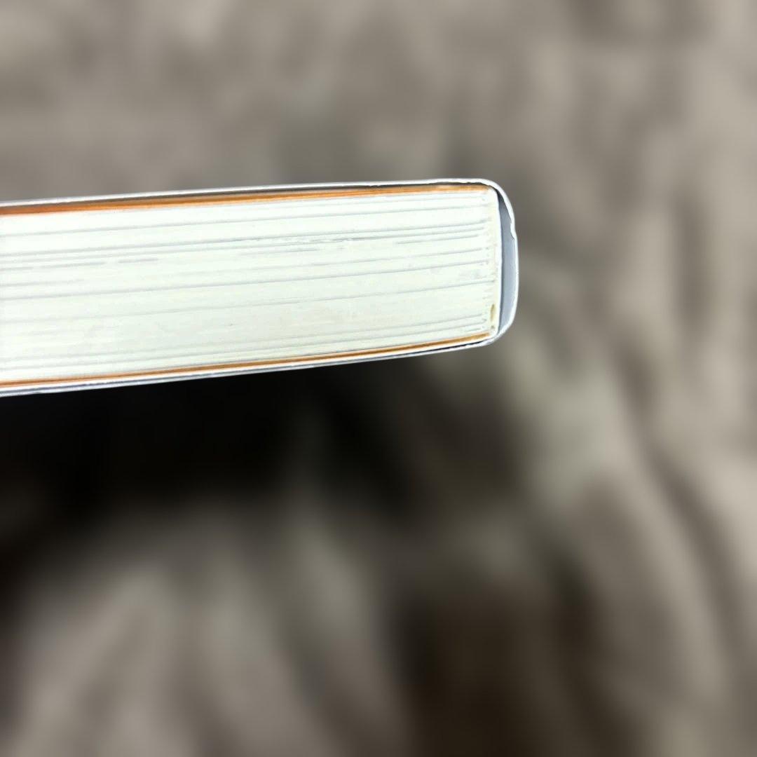 信じていた仲間達にダンジョン奥地で殺され 全巻 1-13巻 小説 全初版 希少