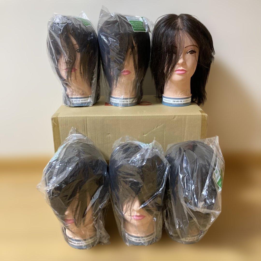 美容師実技試験用　02-20-19 ウィッグ6体セット ビューラックス – 美容師理容師実技試験用