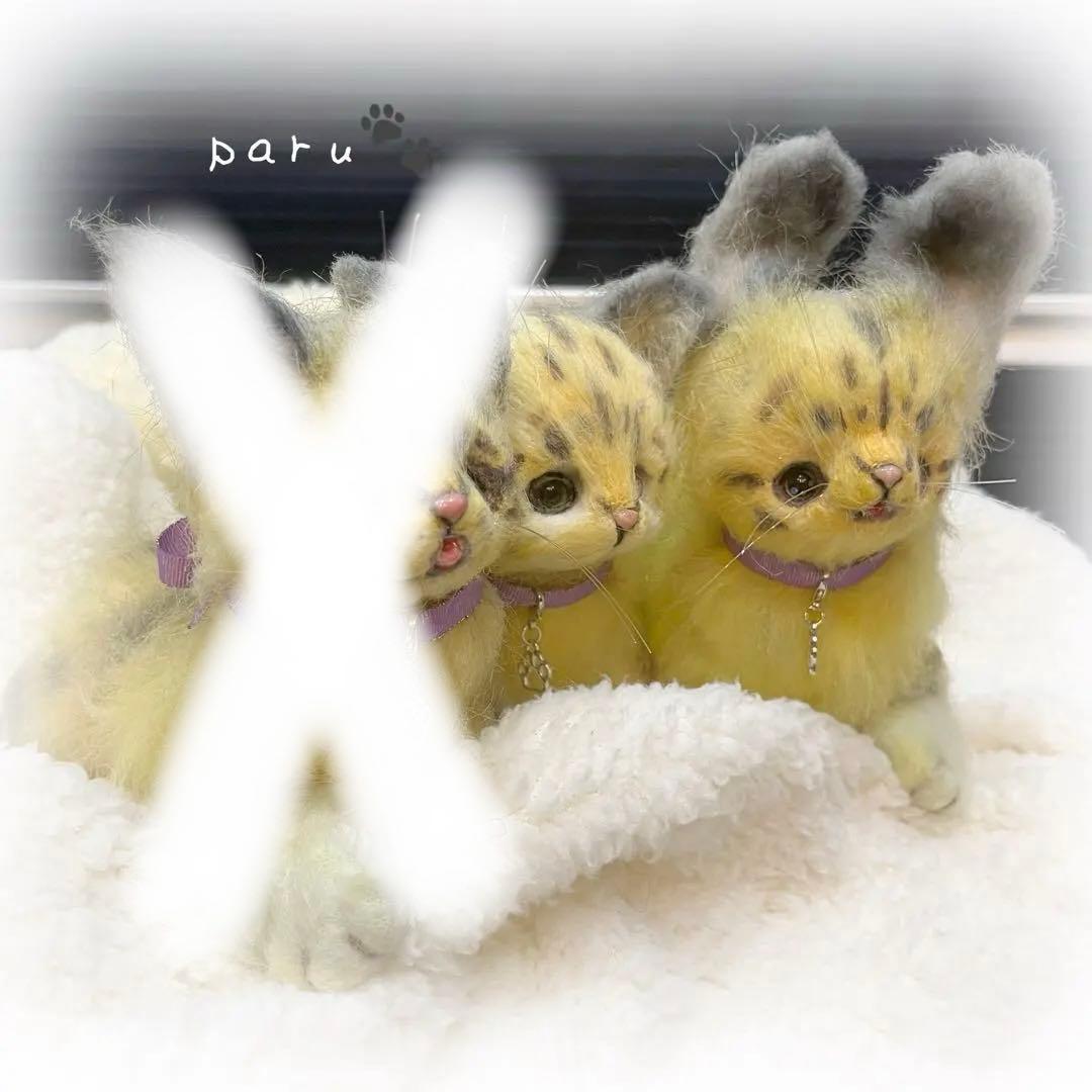 アートドール ぬいぐるみ 3兄弟セット サイベリアンなにゃんこ - メルカリ