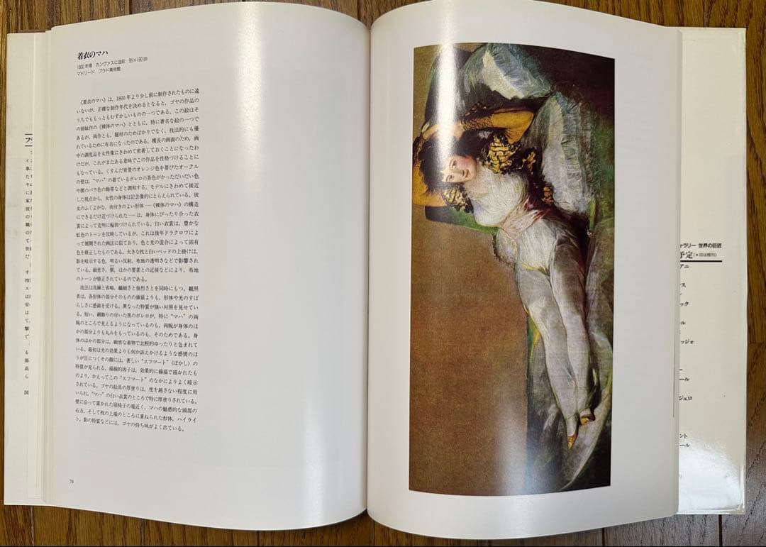大型美術書 ゴヤ GOYA 作品集 フランシスコ・デ・ゴヤ 美術出版社