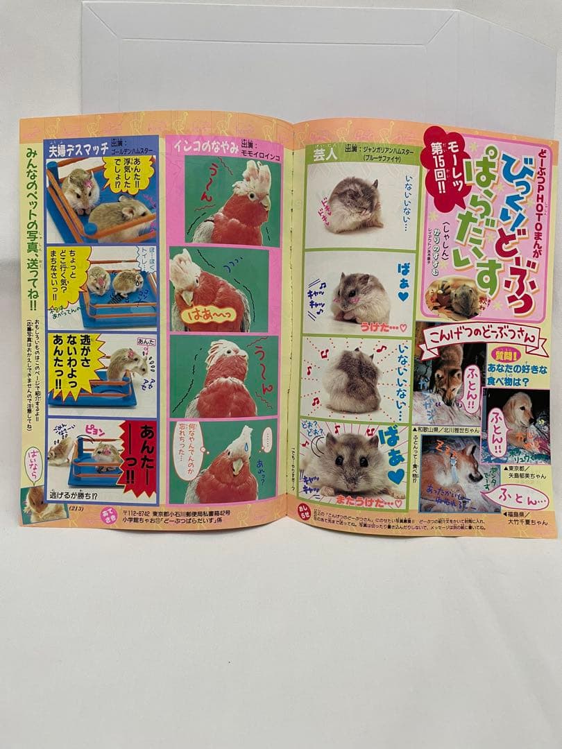 漫画 Pi Pi Piアドベンチャー ちゃお 切抜き 1999年 コダック - メルカリ