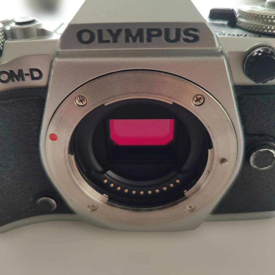 s*c様 OLYMPUS OM-D E-M5 Mark2 ショット数7433 - メルカリ