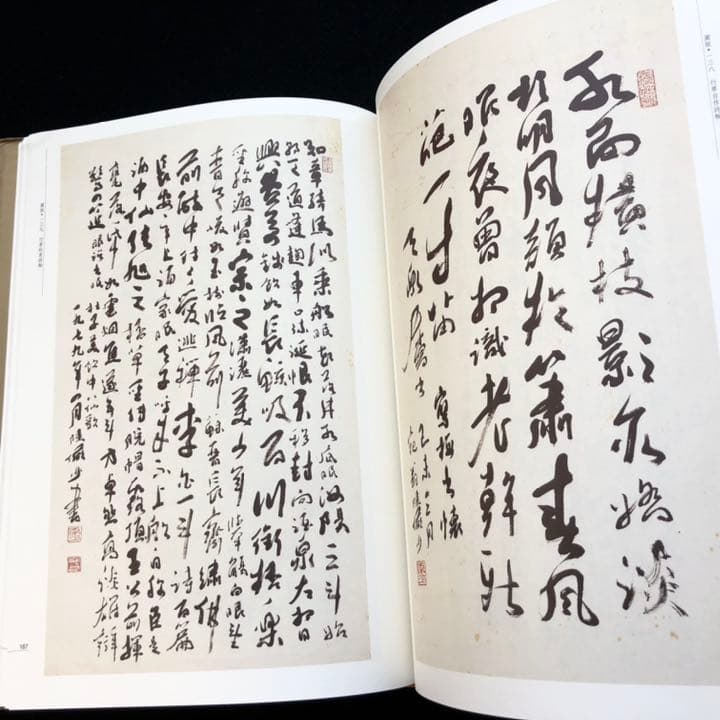 中国書道】「陸儼少 - 海派代表書法家系列作品集」上海書画出版社