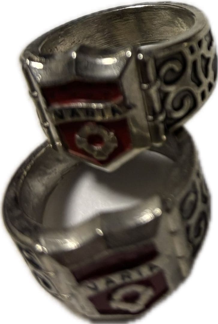 家庭教師ヒットマンREBORN ヘルリング C.A.I.リング - メルカリ