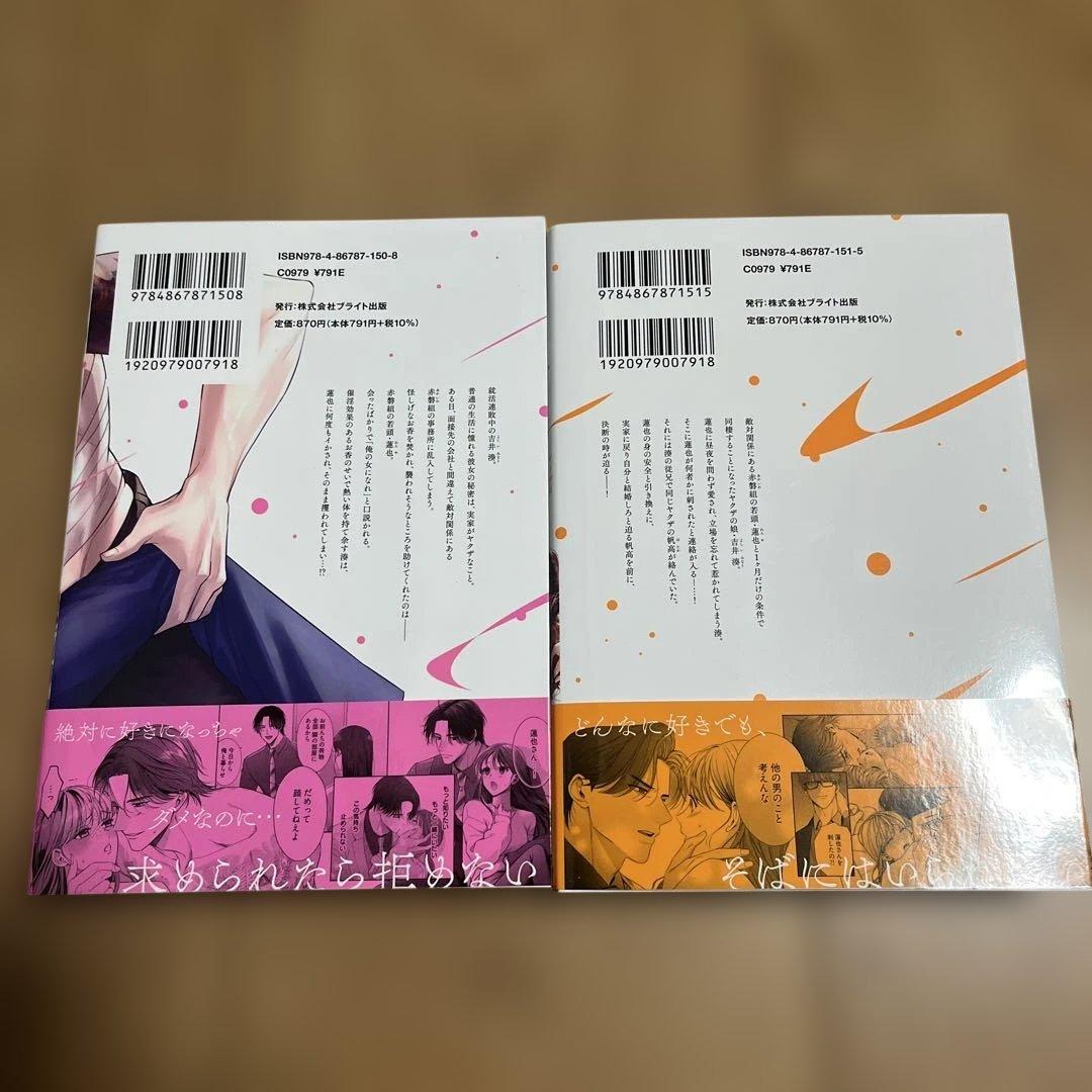 極妻はお断り〜ヤクザの若頭に溺愛される1ヶ月〜上下