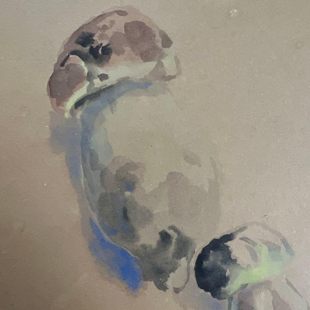 丸山晩霞 水彩画 約30cm x 40cm 木製フレーム - メルカリ