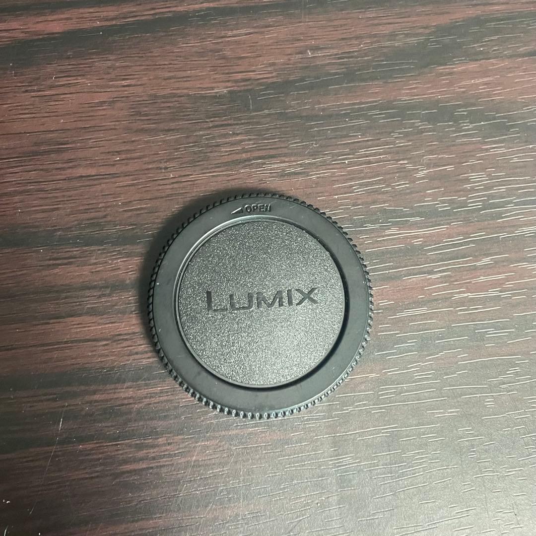 レンズ(ズーム) LEICA DG VARIO-ELMAR 100-400mm/F4.0-6.3