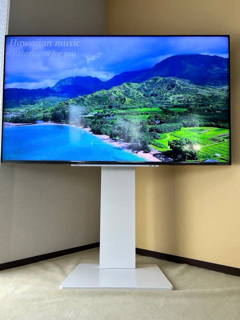 ⭐︎最終お値下げです⭐︎東芝 REGZA 4K液晶テレビ 65M540X - メルカリ