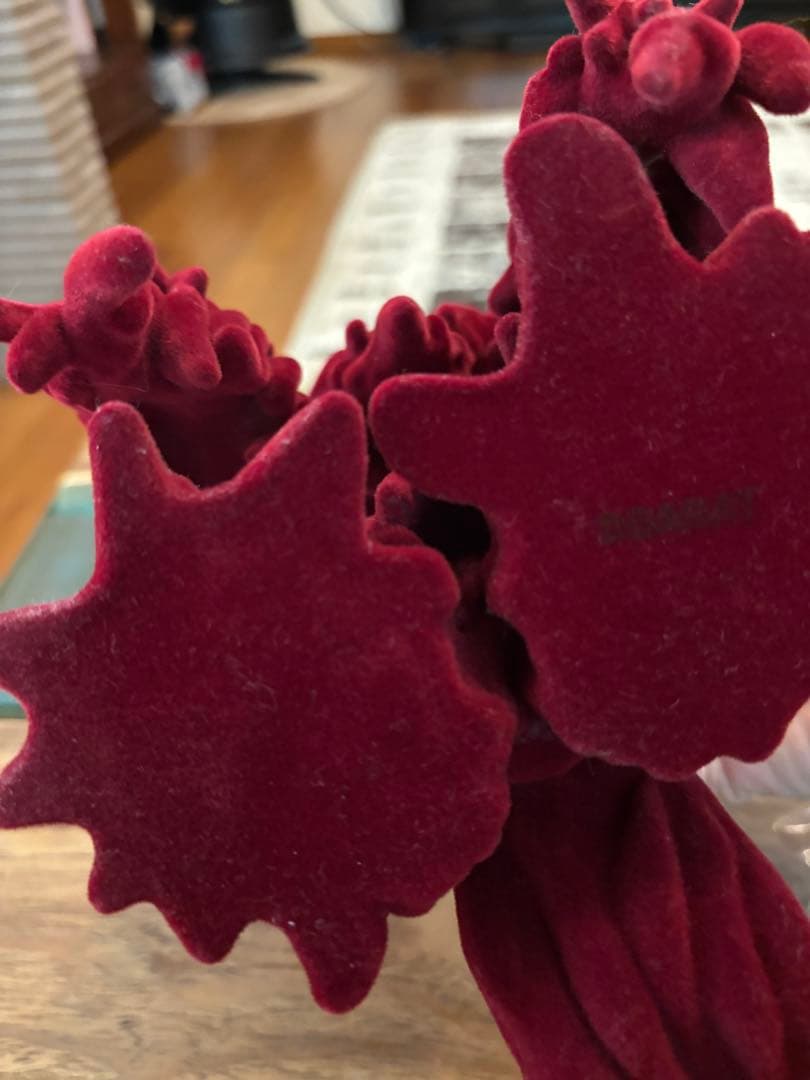 CCPxDOARATヘドラ ワインレッドカラーフロッキー限定150