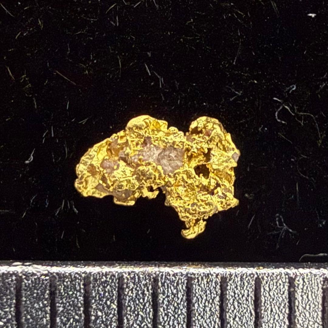 砂金 特大 天然物 【アラスカ産】#117鑑定済 0.08g - メルカリ