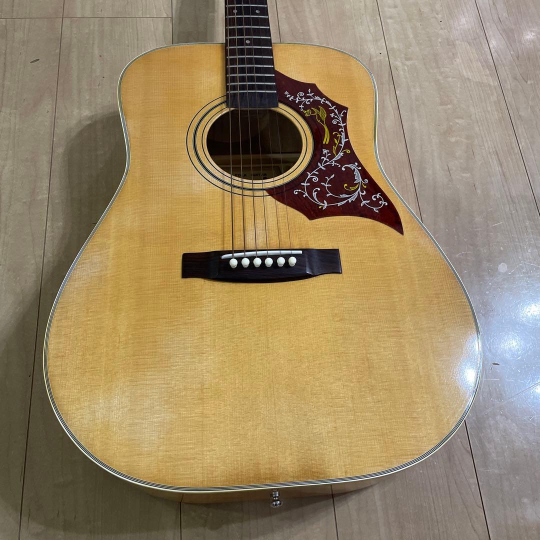 激レア roje 全音 ロジェ アコースティックギター ハミングバード