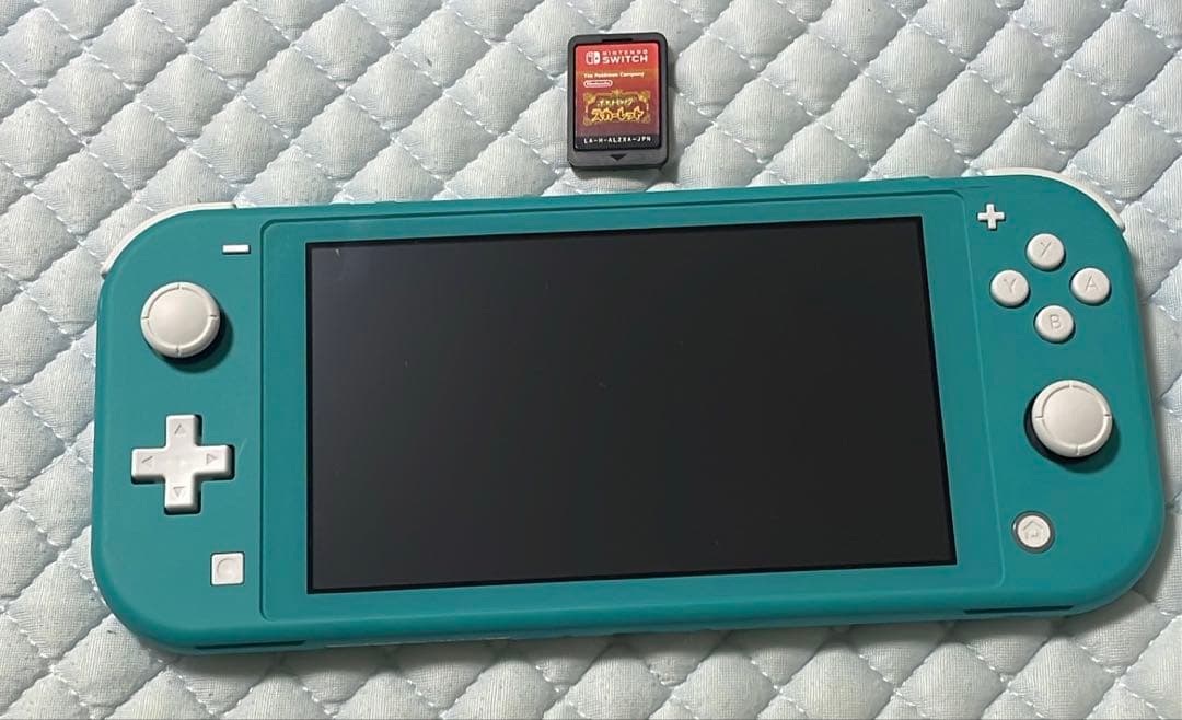 美品Nintendo Switch Lite ソフトセット Nintendo Switch ニンテンドースイッチ 本体 lite すぐ遊べるセット