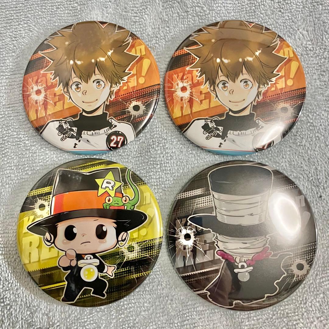 天野明展 REBORN! コレクション缶バッジ 沢田綱吉 リボーン バミューダ