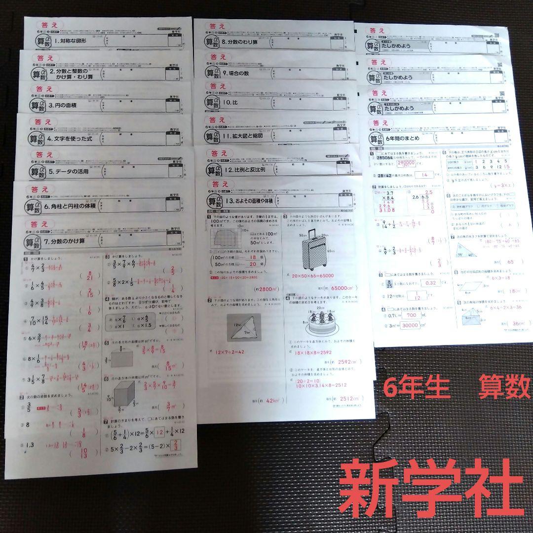 6年生 算数α カラーテスト 新学社 17枚 - メルカリ