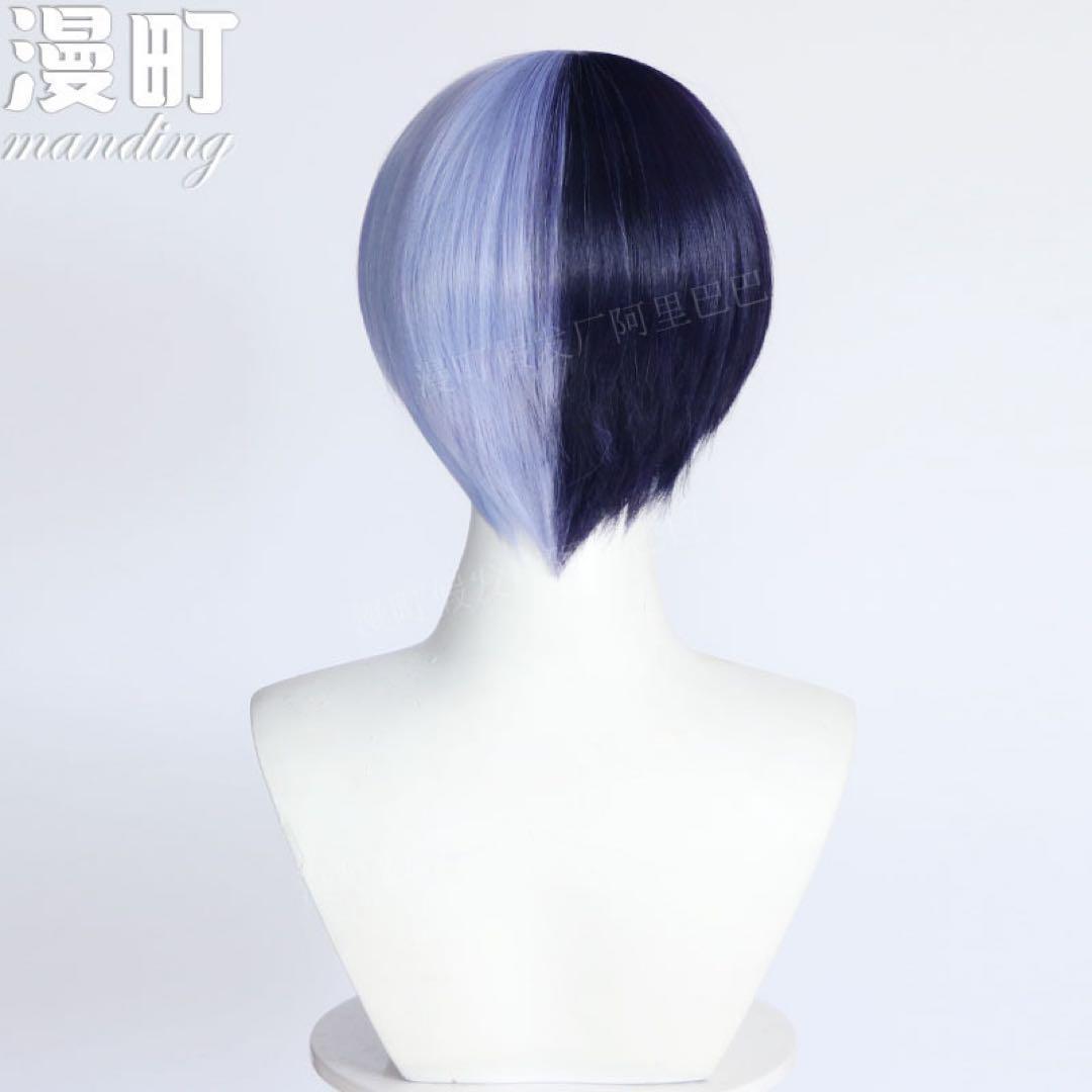 2点セット】プロジェクトセカイ 青柳冬弥 コスプレ ウィッグ♪かつら