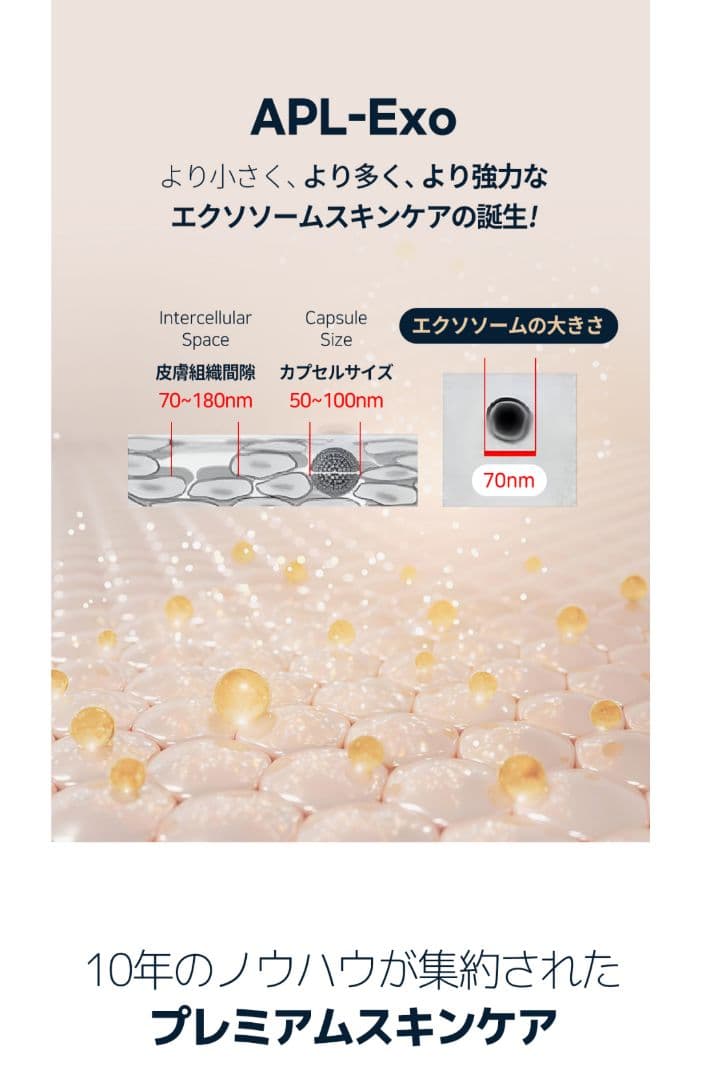 正規品」ルビーセル ダーマコードセラム 2本セット エクソソーム美容液