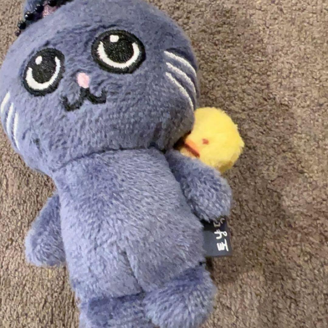 RIIZE ウォンビン ぬいぐるみ トニャンドク - メルカリ