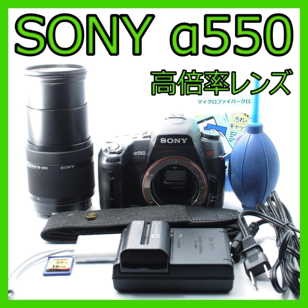 家族旅行の綺麗に！❤️SONY α550✨高倍率レンズセット✨️すぐ使える