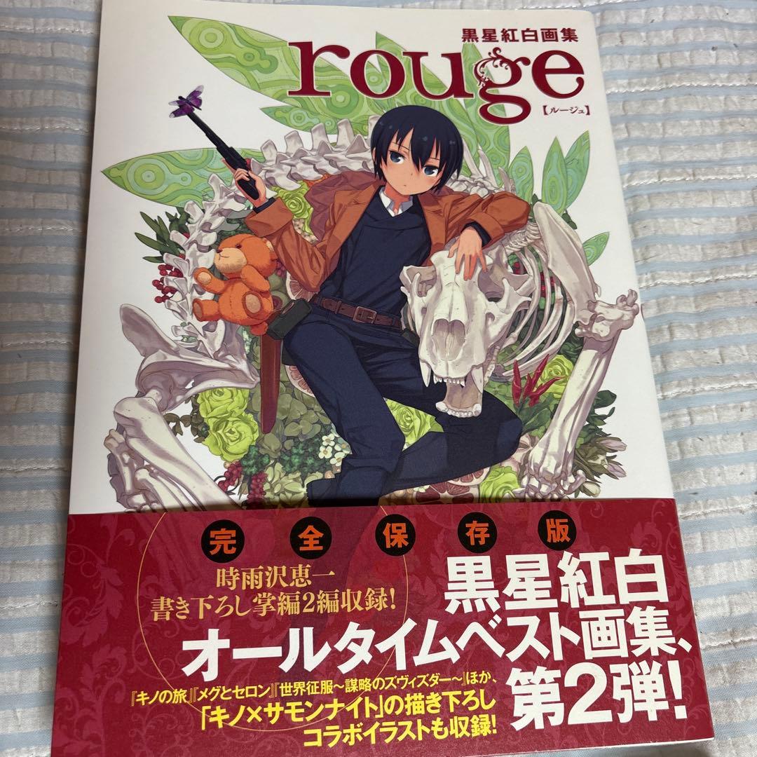 帯・限定カバー付き】黒星紅白画集 2冊セット noir rouge - メルカリ