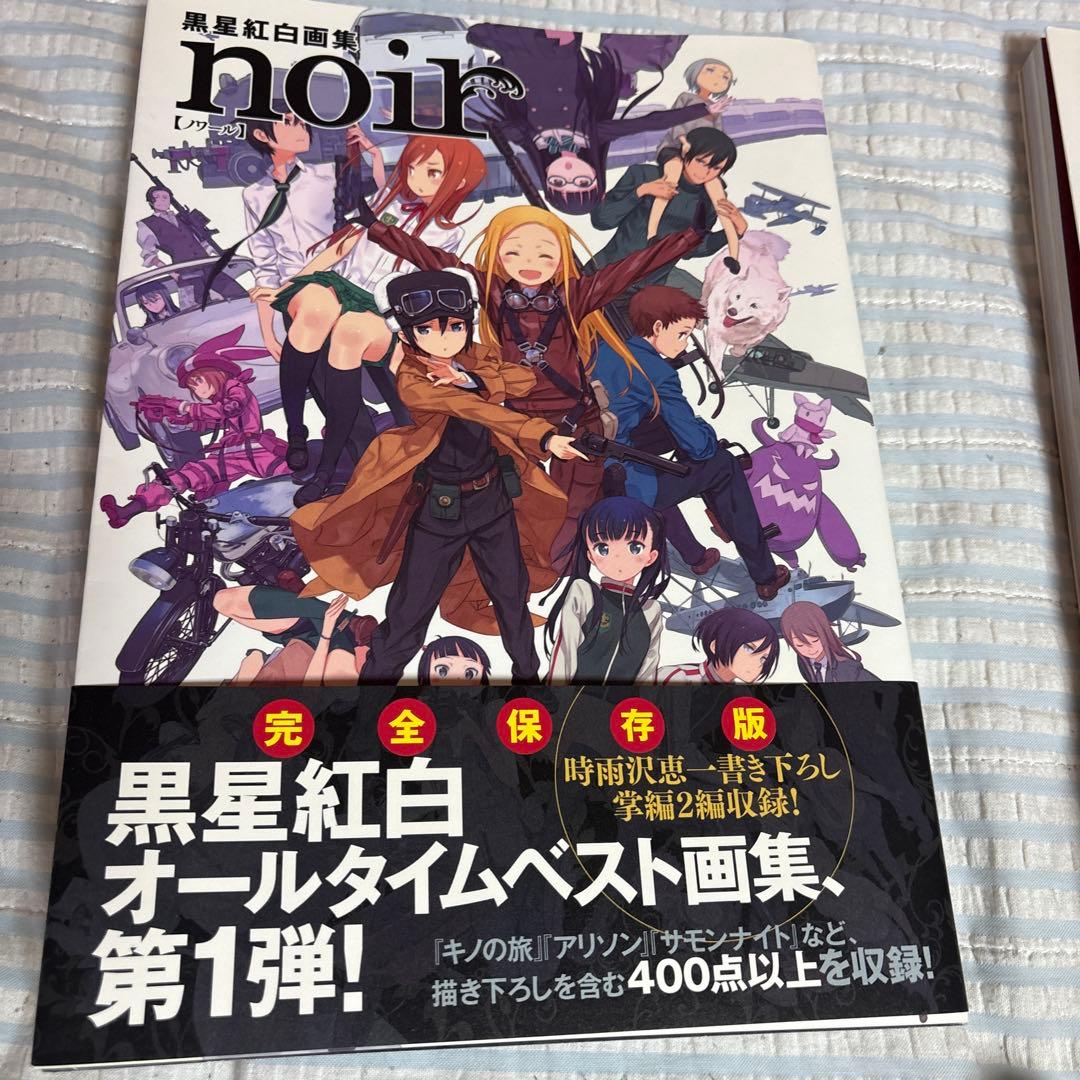 帯・限定カバー付き】黒星紅白画集 2冊セット noir rouge - メルカリ