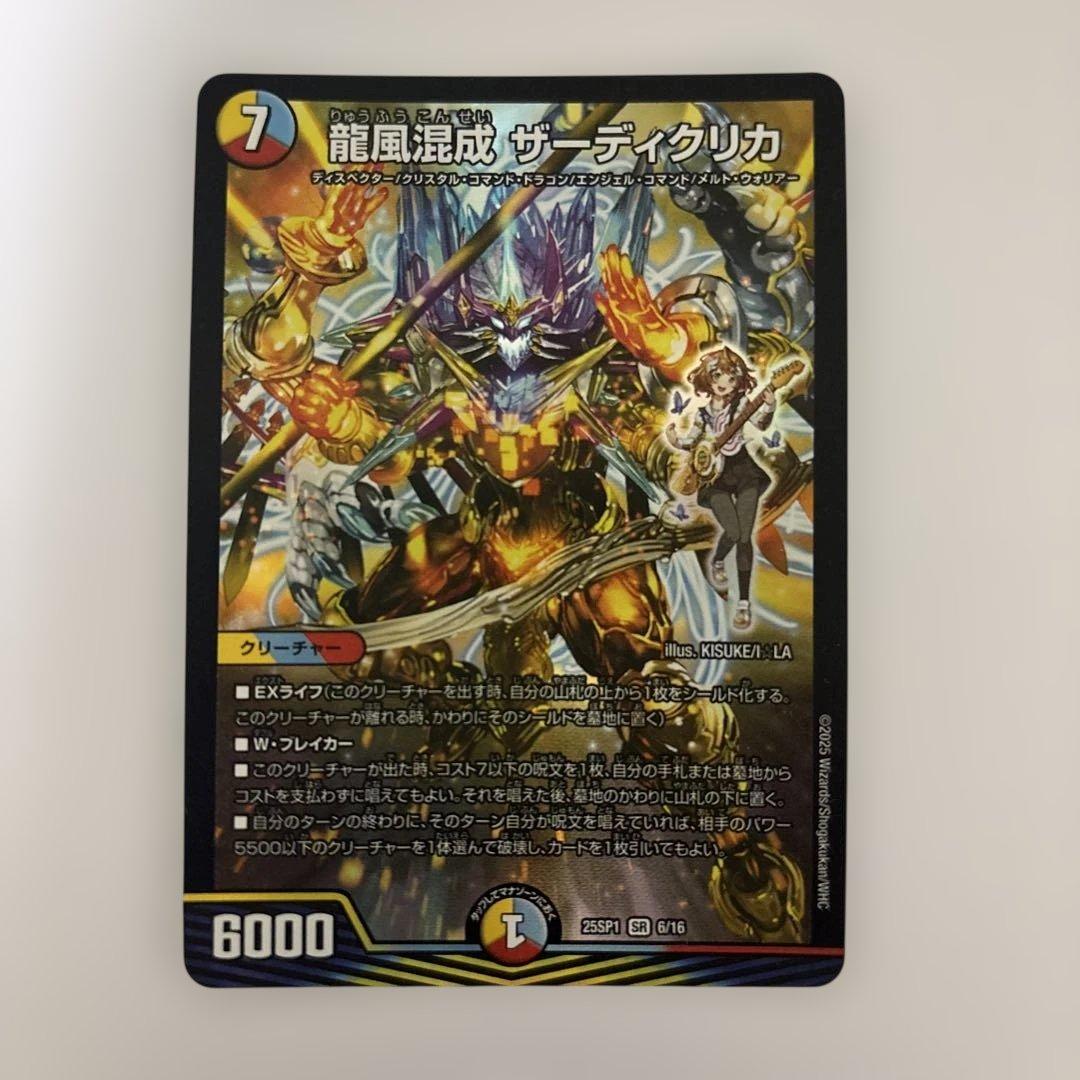 0224 龍風混成 ザーディクリカ - メルカリ