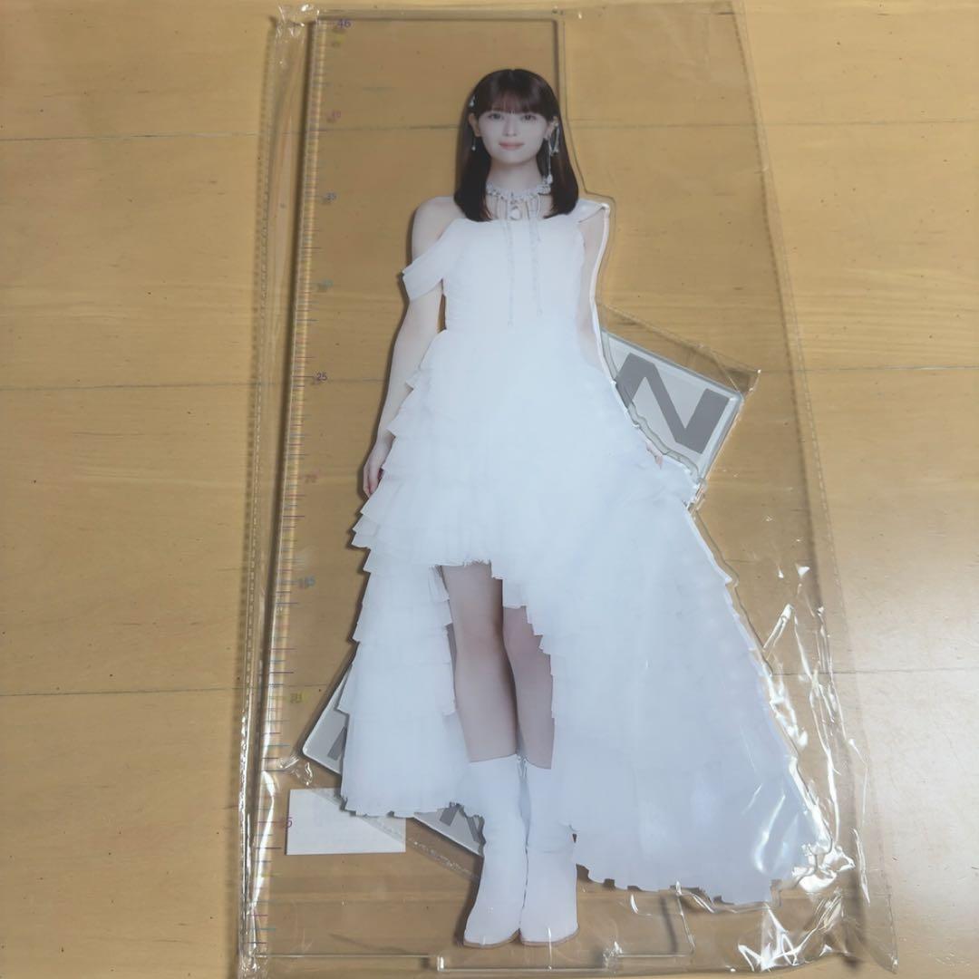 乃木坂46 lucky bag 2026 アクリルスタンド　岩本蓮加 乃木坂46 lucky bag 2026 アクリルスタンド 岩本蓮加 - メルカリ