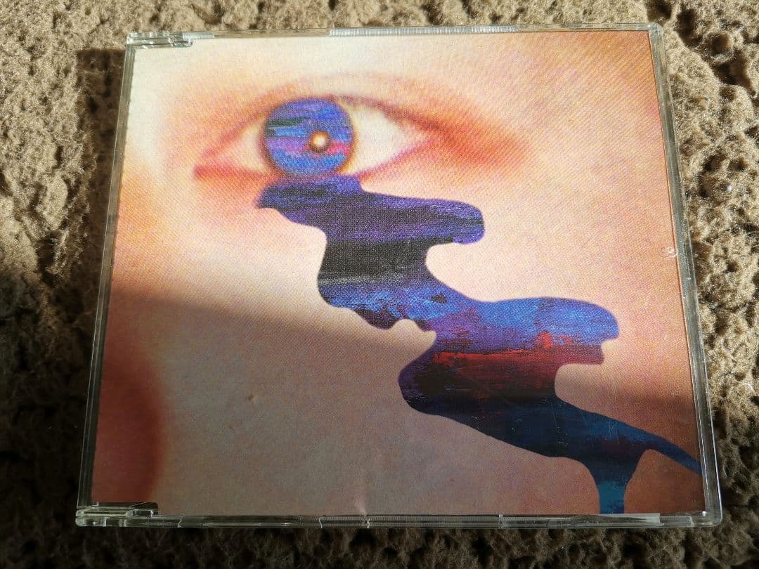 ザ・バック・ホーン/「サニー」 Amazon.co.jp: サニー: ミュージック