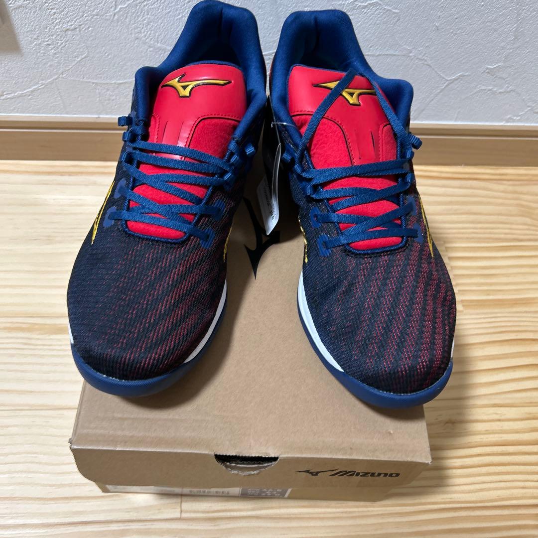 【WBC限定】ミズノプロ　ウェーブライトレボランプロ　29.0cm