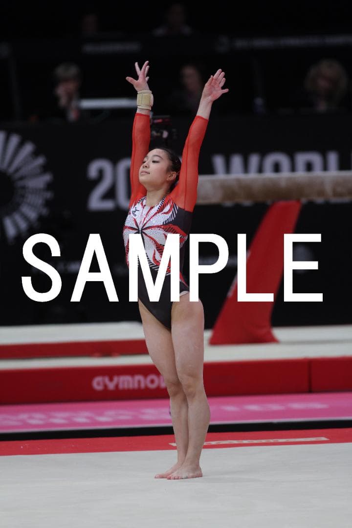 【セール中】2005～2015年 女子体操画像集(日本選手中心) 約4万枚