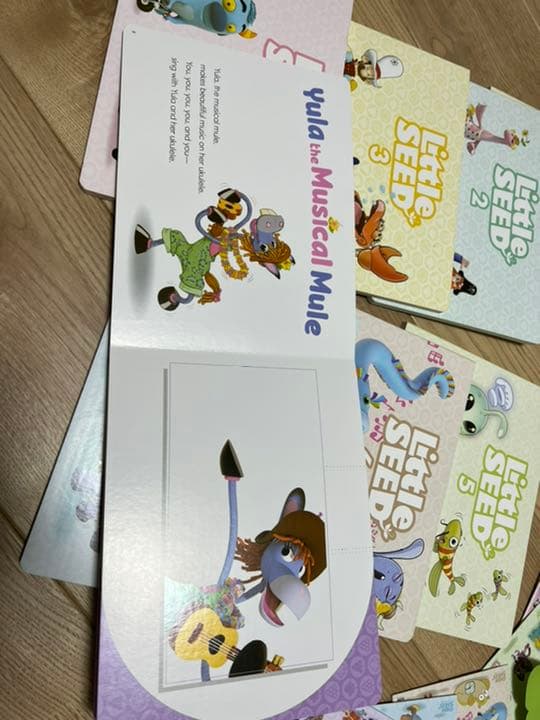 litleseed unit1〜8 美品 DVD テキスト　英会話