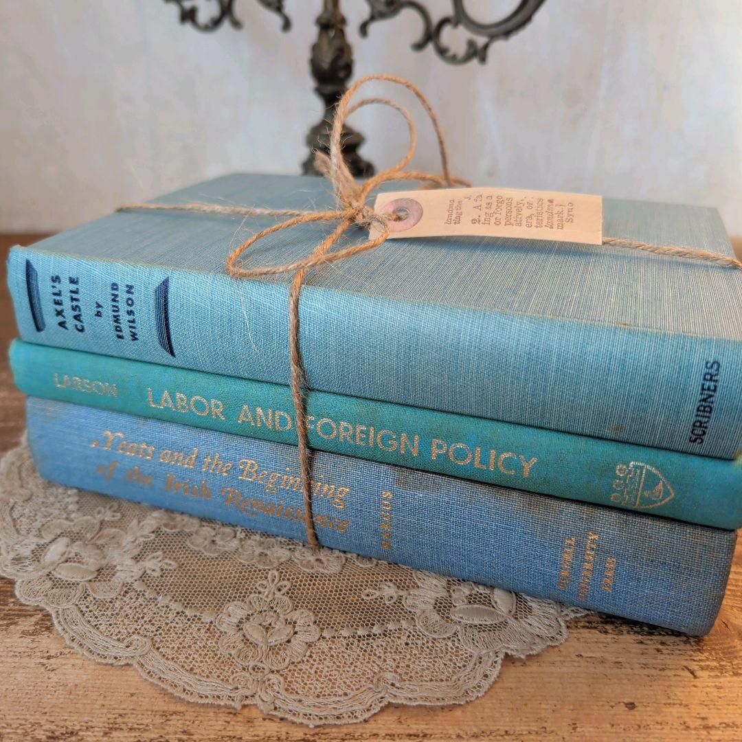 B989 お洒落な組み合わせ ヴィンテージ 洋書 ディスプレイ インテリア