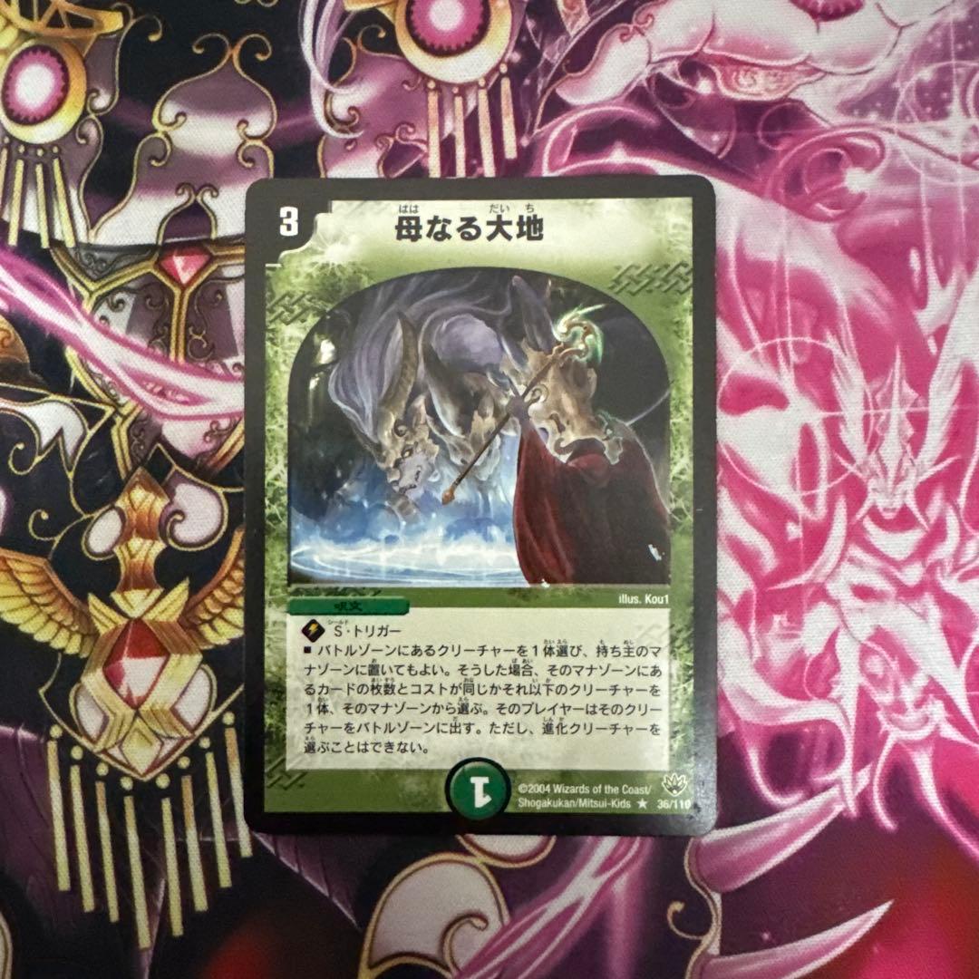 母なる大地 1枚 - メルカリ