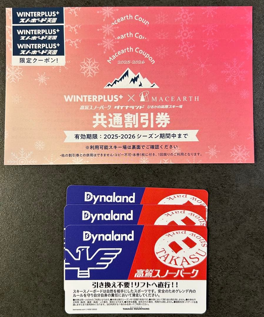 高鷲スノーパーク ダイナランド 共通リフト券 3枚 割引券付き - メルカリ