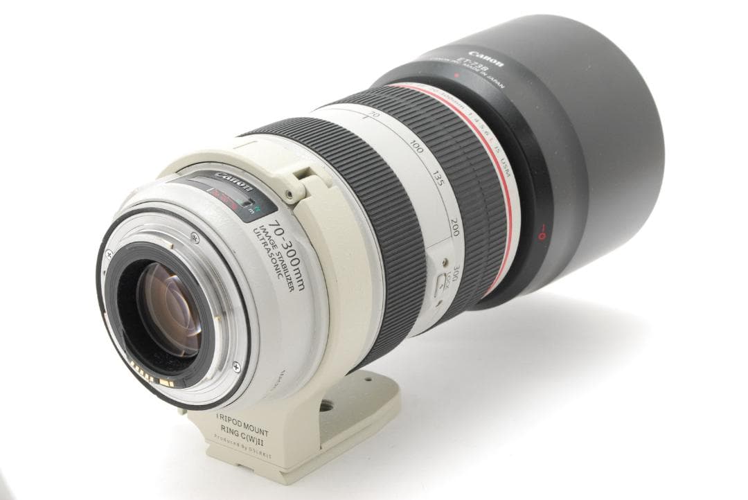 キヤノン Canon EF 70-300mm F4.5-5.6 L USM