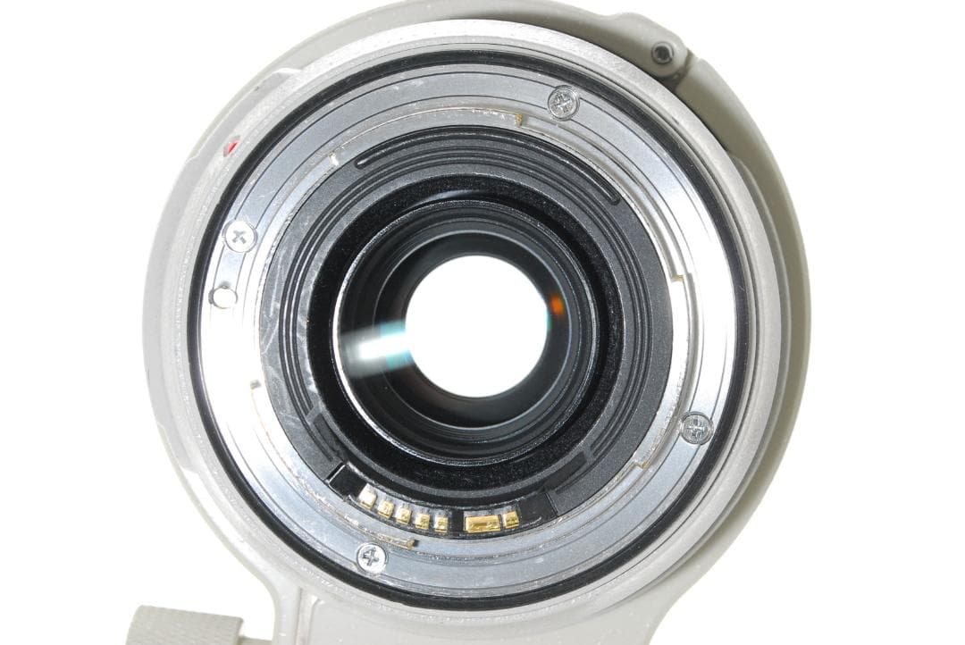 キヤノン Canon EF 70-300mm F4.5-5.6 L USM