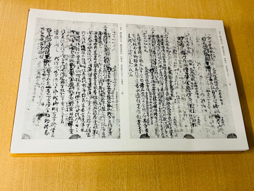 美品「陽明墨宝」淡交社 春名好重 二重箱 500部限定品 ナンバー入り