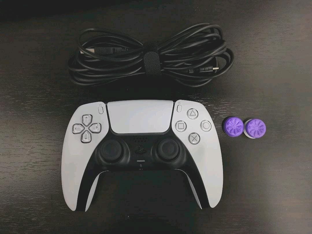 アイレム ドラゴンブリード アーケード版コンパネステッカーの通販