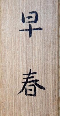 550,000⇒￥440,000 山口華楊 早春 日本画(絹本岩彩裏彩）10号 - メルカリ